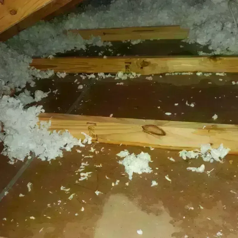 Attic Water Damage in Abington, MA